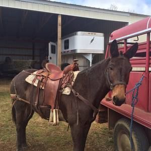 Meet your Posher, Mike